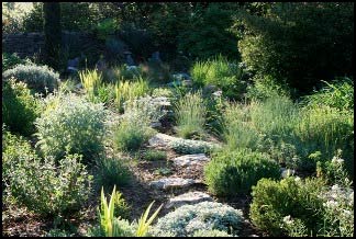 Jardin parc